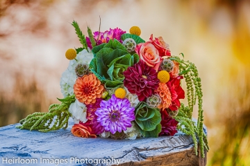 OReilly_20151010_6_178646_hdr_72ppi.jpg